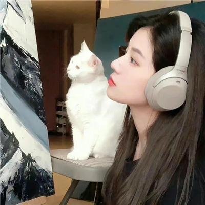 手册
